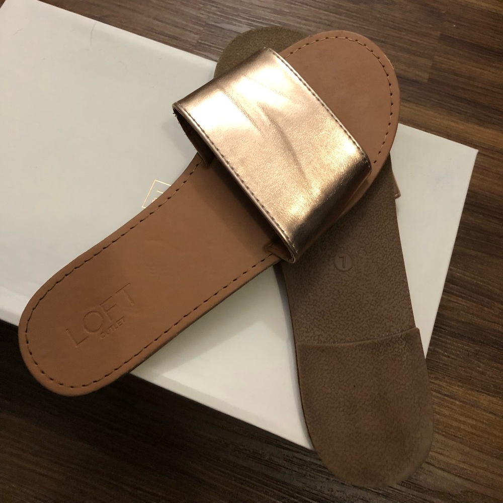 Slides